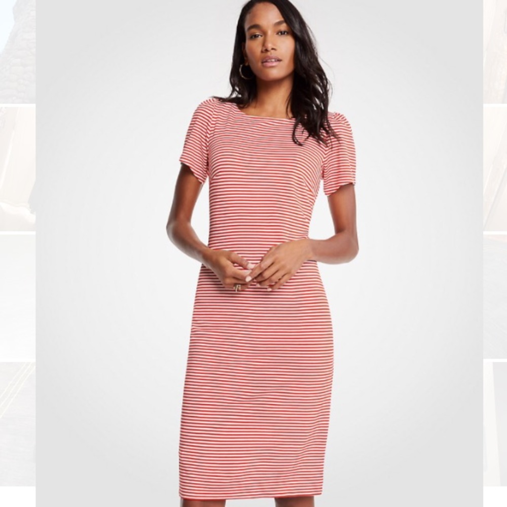 Ann Taylor Striped Sheath Dress